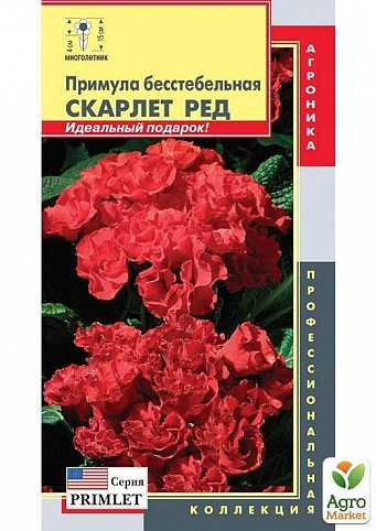Примула бесстебельная "Скарлет Ред" ТМ "Плазменные семена" 5шт