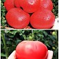 На развес Томат "Корнеевский" ТМ "Весна" цена за 1г купить