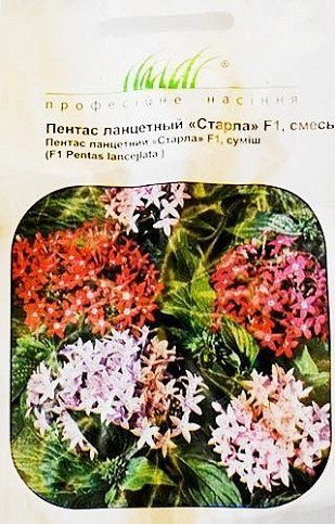 Пентас ланцетный "Старла" F1,смесь ТМ  "HEM Zaden" 10шт