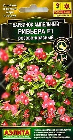 Барвинок ампельный Ривьера F1 "Розово-красный" ТМ "Аэлита" 5шт