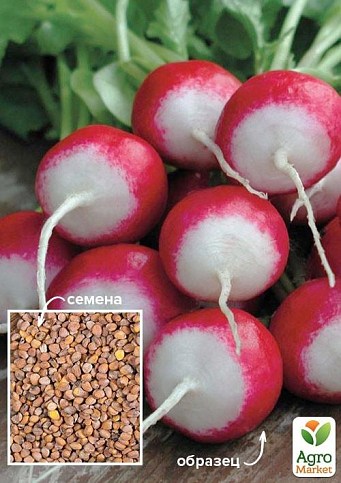 Редис "Кинг-конг" ТМ "Весна" 100г
