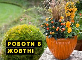 Садові роботи в жовтні, список садових робіт у жовтні в саду - Agro-Market