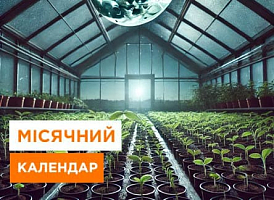 Місячний посівний календар на березень 2025 року - корисні статті про садівництво від Agro-Market