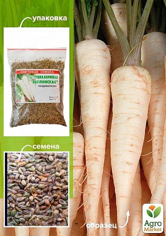 Петрушка корневая "Берлинская" ТМ "Весна" 100г