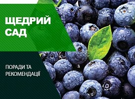 Як підкислити грунт для лохини - корисні статті про садівництво від Agro-Market