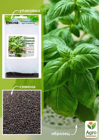 Базилик "Шаровидный зеленый" (Зипер) ТМ "Весна" 1.5г