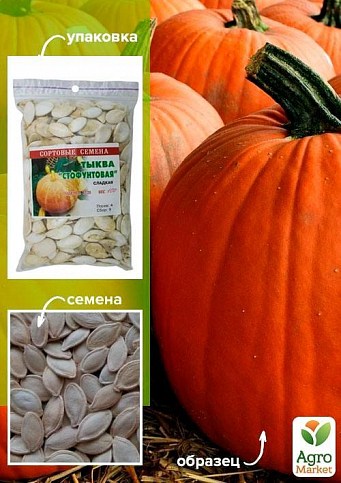 Тыква "Стофунтовая" ТМ "Весна" 100г