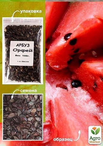 Кавун "Орфей" ТМ "Весна" 100г