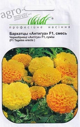 Бархатцы "Антигуа F1 смесь" ТМ "Hem Zaden" 20шт