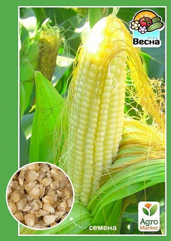 Кукуруза "Русалка" ТМ "Весна" 10г