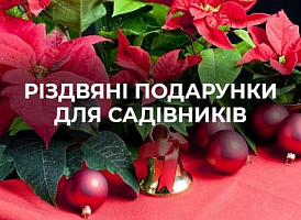 Різдвяні подарунки для садівників: ідеї та поради - корисні статті про садівництво від Agro-Market