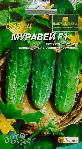 Огурец "Муравей F1" ТМ "Яскрава" 12шт