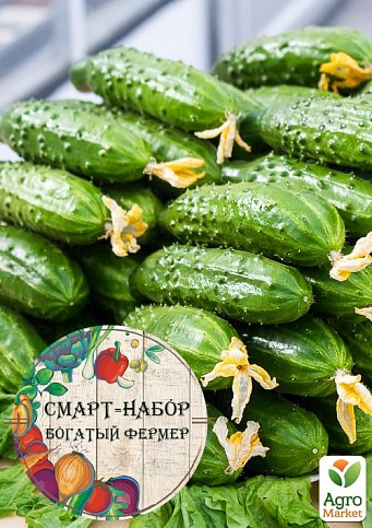 Смарт-набор овощей "Огуречный полигон" "Богатый фермер" (в коробке) ТМ "Весна" 15уп