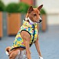 Курточка для собак WAUDOG Clothes малюнок "Рік та Морті 3", S40, 52-55 см, З 36-39 см (0940-0282) цена