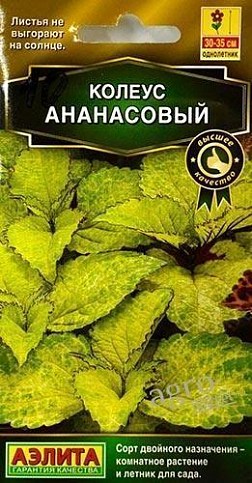 Колеус "Ананасовый " ТМ "Аэлита" 10шт