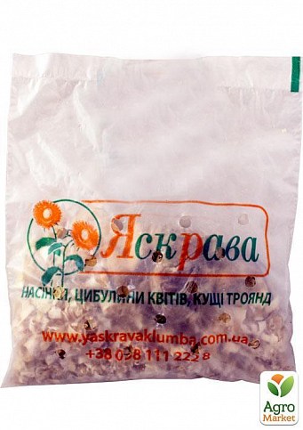 Лілія Гігант "Zagora" - фото 2
