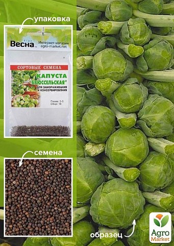 Капуста "Брюссельская" (Зипер) ТМ "Весна" 1г