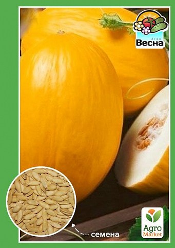 Дыня "Криничанка" ТМ "Весна" 1,5г