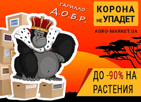 Гарилло Д.О.Б.Р. Гарилло Д.О.Б.Р.