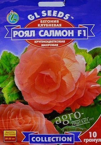 Бегония клубневая "Роял салмон F1" ТМ "GL Seeds" 10шт