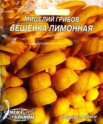 Вёшенка "Лимонная" ТМ "Семена Украины" 10шт