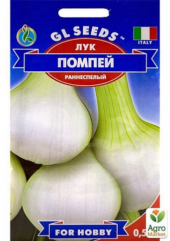 Лук "Помпей" ТМ "GL SEEDS" 0.5г