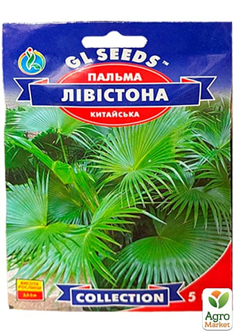 Пальма китайська "Ливистона" ТМ "GL SEEDS" 5шт