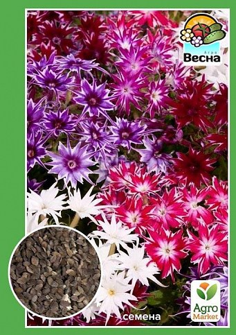 Флокс друммонда ТМ "Весна" 0.1г