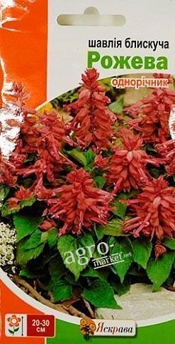 Сальвия блестящая "Розовая" ТМ "Яскрава" 0.2г