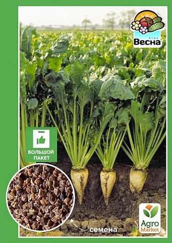 Свекла "Сахарная" (Большой пакет) ТМ "Весна" 10г