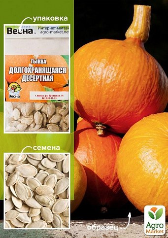 Тыква "Долгохранящаяся десертная" (Зипер) ТМ "Весна" 8г