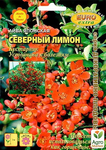 Айва китайская "Северный лимон" ТМ "Аэлита" 5шт NEW