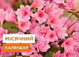 Місячний календар садівника та городника на квітень 2023 - корисні статті про садівництво від Agro-Market