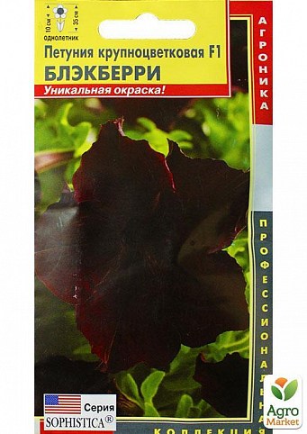 Петуния крупноцветковая F1 "Блэкберри" ТМ "Плазменные семена" 5шт NEW