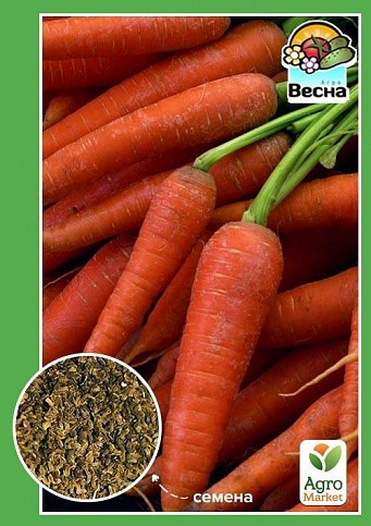 Морква "Роті Різен" ТМ "Весна" 2г