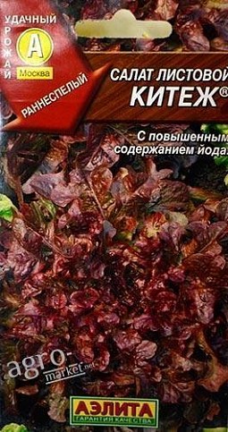 Салат листовий "Кітеж" ТМ "АЕЛІТА" 0.5г