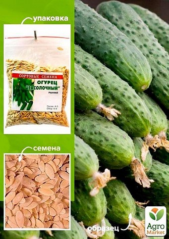 Огурец "Засолочный" ТМ "Весна" 100г