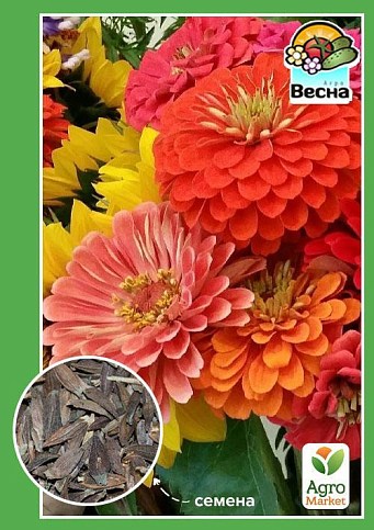 Цинния "Калифорнийские гиганты" ТМ "Весна" 0.4г