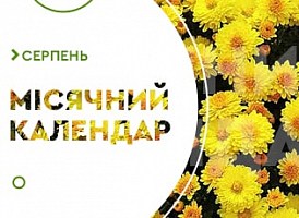 Місячний посівний календар на серпень 2021 - корисні статті про садівництво від Agro-Market