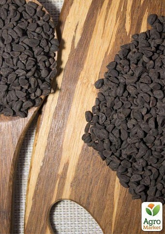 На вагу Іпомея "Скарлет О'Хара" ТМ "Весна" ціна за 2г - фото 2