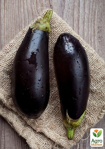 Баклажан "Прем'єр" ТМ "Vesna Select" 20шт - фото 2