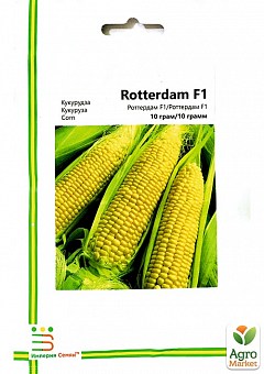 Кукуруза сахарная "Роттердам" ТМ "Империя семян" 10г1