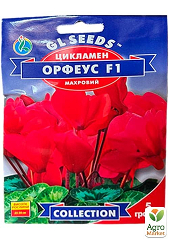 Цикламен "Орфеус F1" ТМ "GL Seeds" 5шт