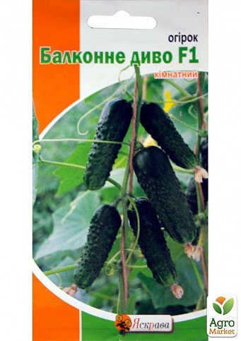 Огурец "Балконное чудо F1" ТМ "Яскрава" 5шт