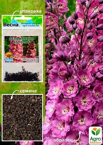 Дельфиниум "Астолат" (Зипер) ТМ "Весна" 0,1г