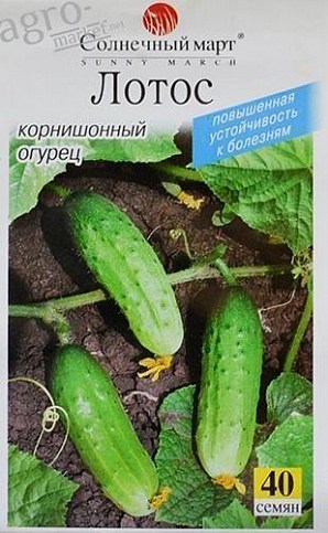 Огурец "Лотос" ТМ "Солнечный март" 40шт