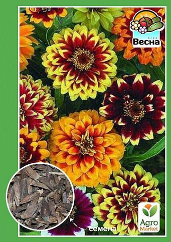 Цинния "Карусель" ТМ "Весна" 0.4г