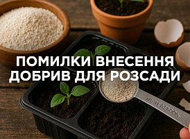 Добрива не працюють для розсади: помилки та як їх виправити | Agro-market