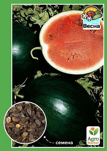 Арбуз "Орфей" ТМ "Весна" 1.5г
