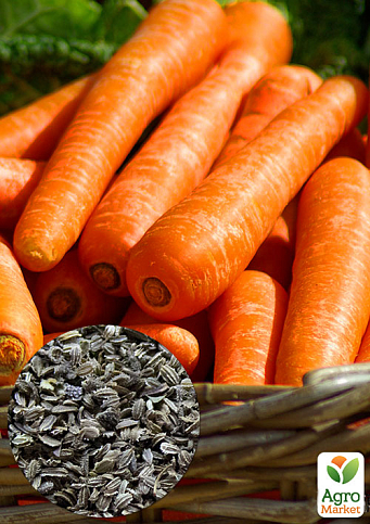 На развес Морковь "Медовянка" ТМ "Весна" цена за 10г